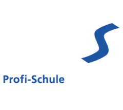 Profi-Skischule - Deutscher Skilehrerverband